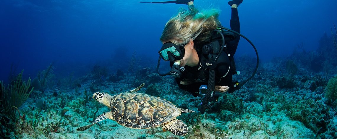 Paraíso no Caribe britânico: As experiências de mergulho nas Ilhas Cayman