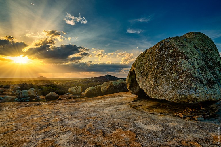 Tesouros naturais da Caatinga