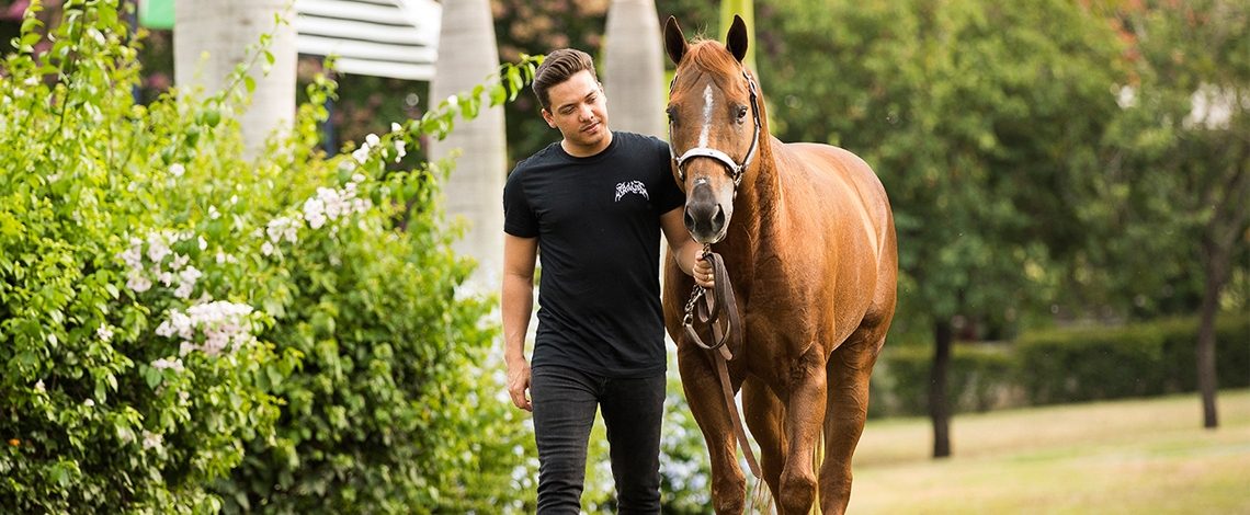 1º Leilão Haras WS inicia montagem da estrutura que vai reunir amantes de cavalo de todo o Brasil