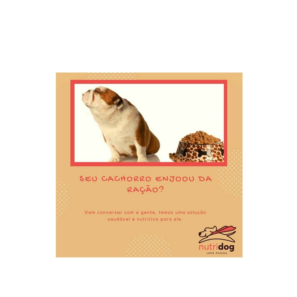 Seu pet mais saudável