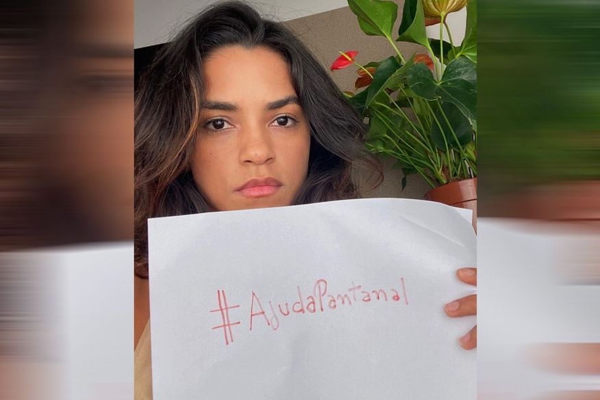 #ajudapantanal