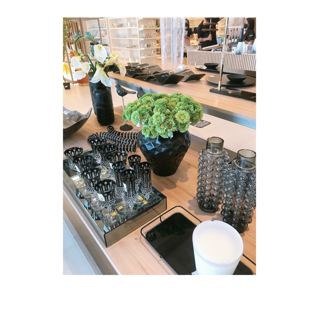 Visita à Grillo Conceito