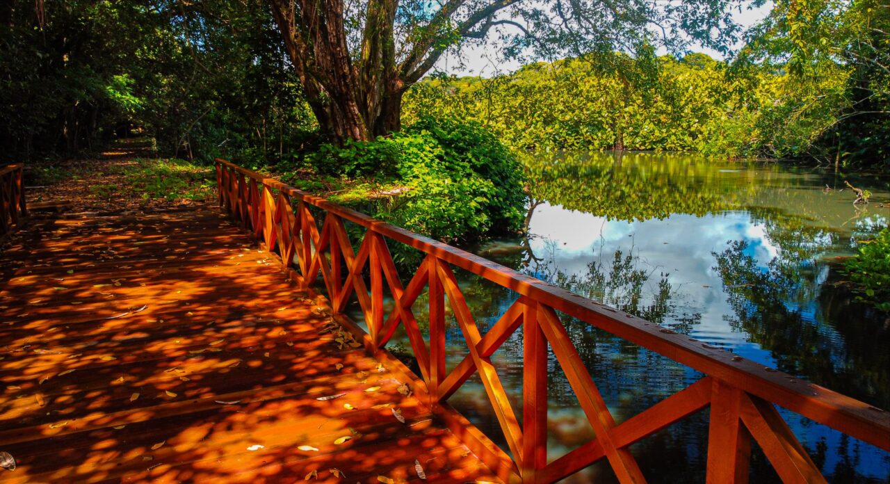 Conheça as três Unidades de Conservação de João Pessoa