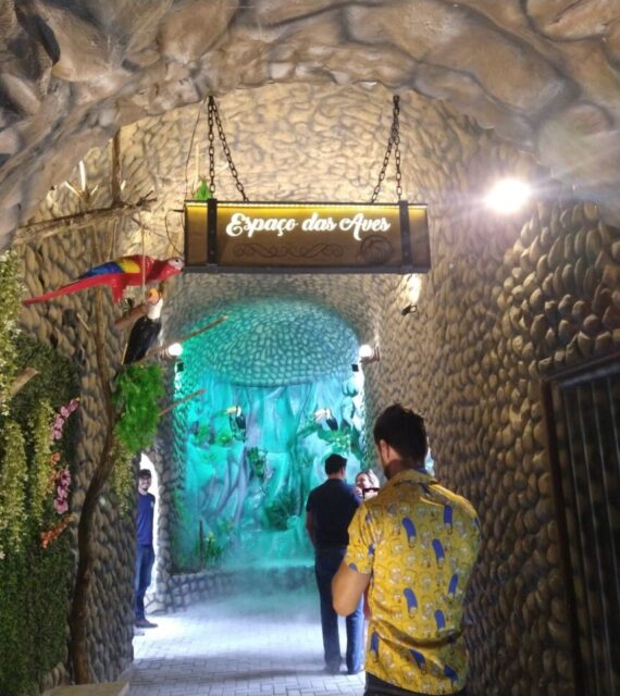 Férias de Verão no Aquário Paraíba