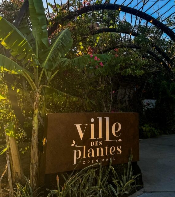 Mostra Feira das Pulgas chega ao Ville des Plantes