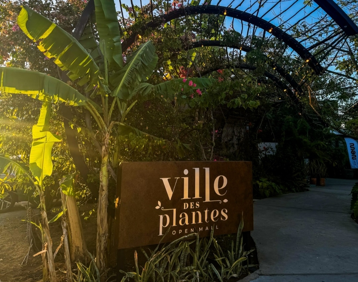Mostra Feira das Pulgas chega ao Ville des Plantes