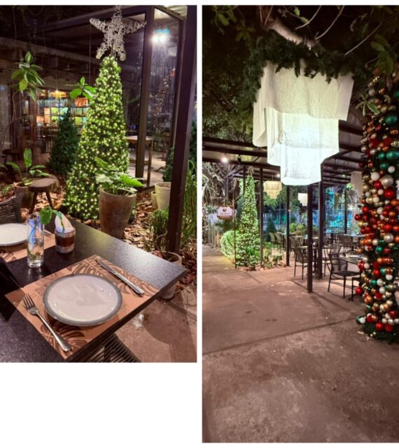 Hoje: Reserve Garden estreia decoração de Natal