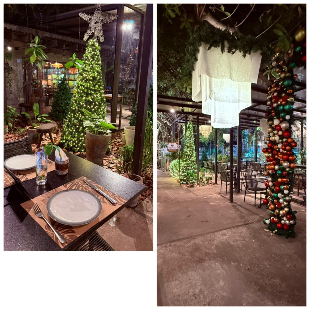 Hoje: Reserve Garden estreia decoração de Natal