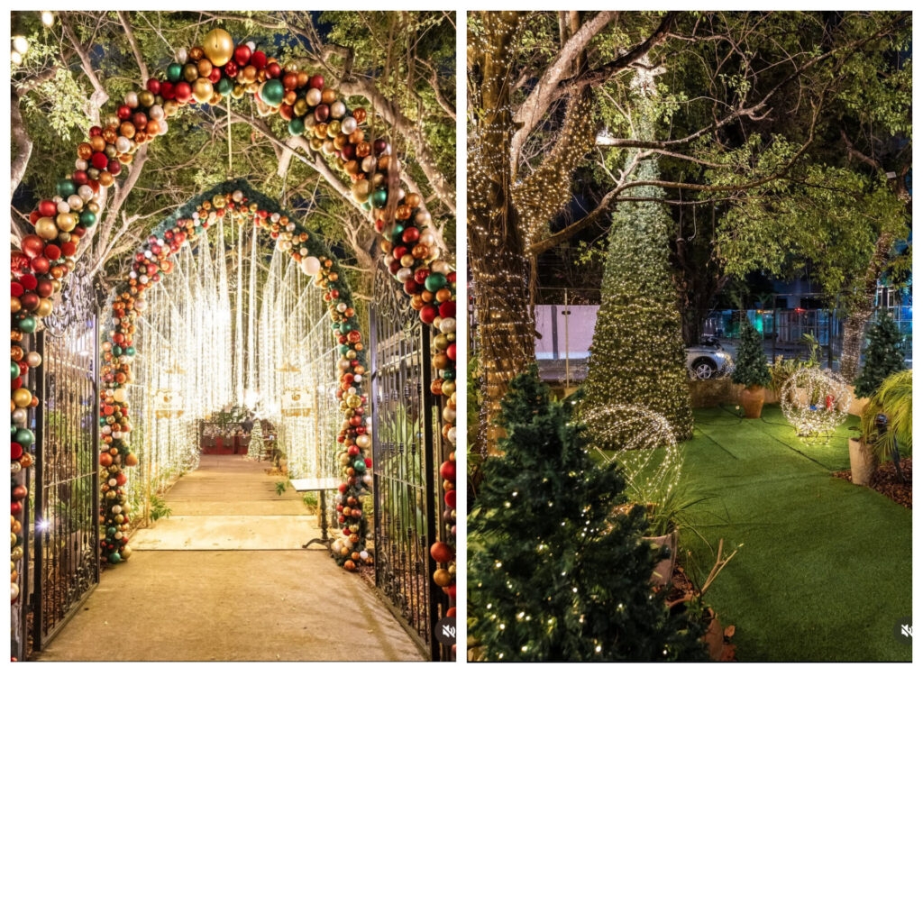 Reserve Garden ilumina o Natal com mais de 42 mil mini lâmpadas