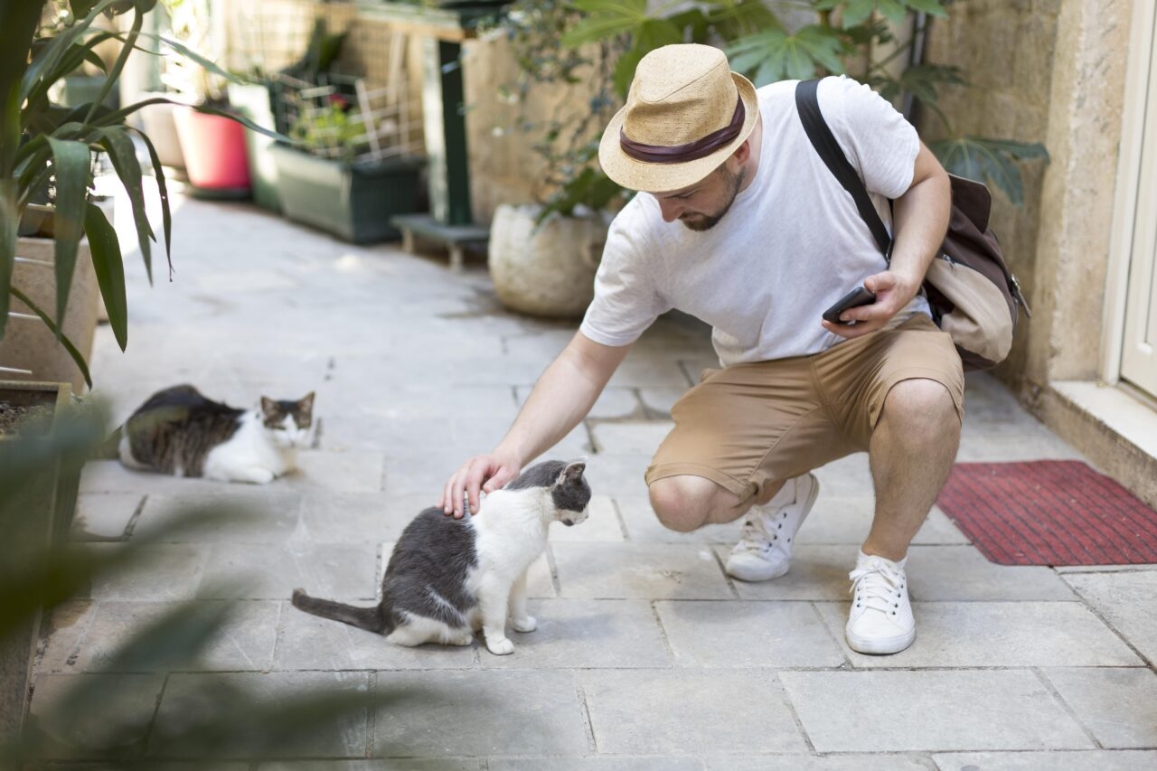 Proteção animal em condomínios