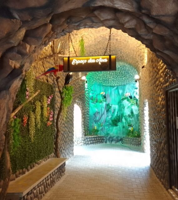 Aquário Paraíba mantém funcionamento no Carnaval