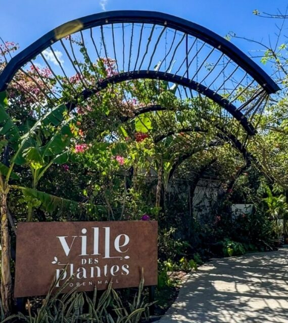 Mostra Feira das Pulgas movimenta o Ville des Plantes
