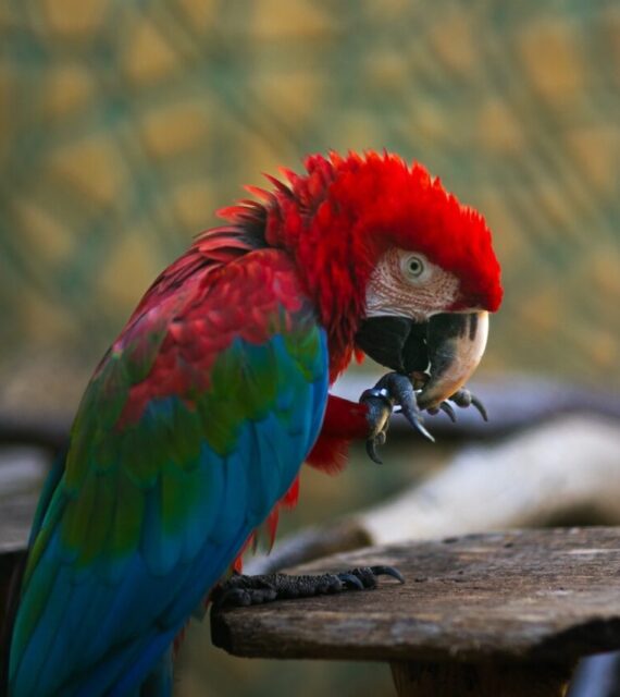 Feriadão: Aquário Paraíba abre normalmente no Dia do Trabalhador