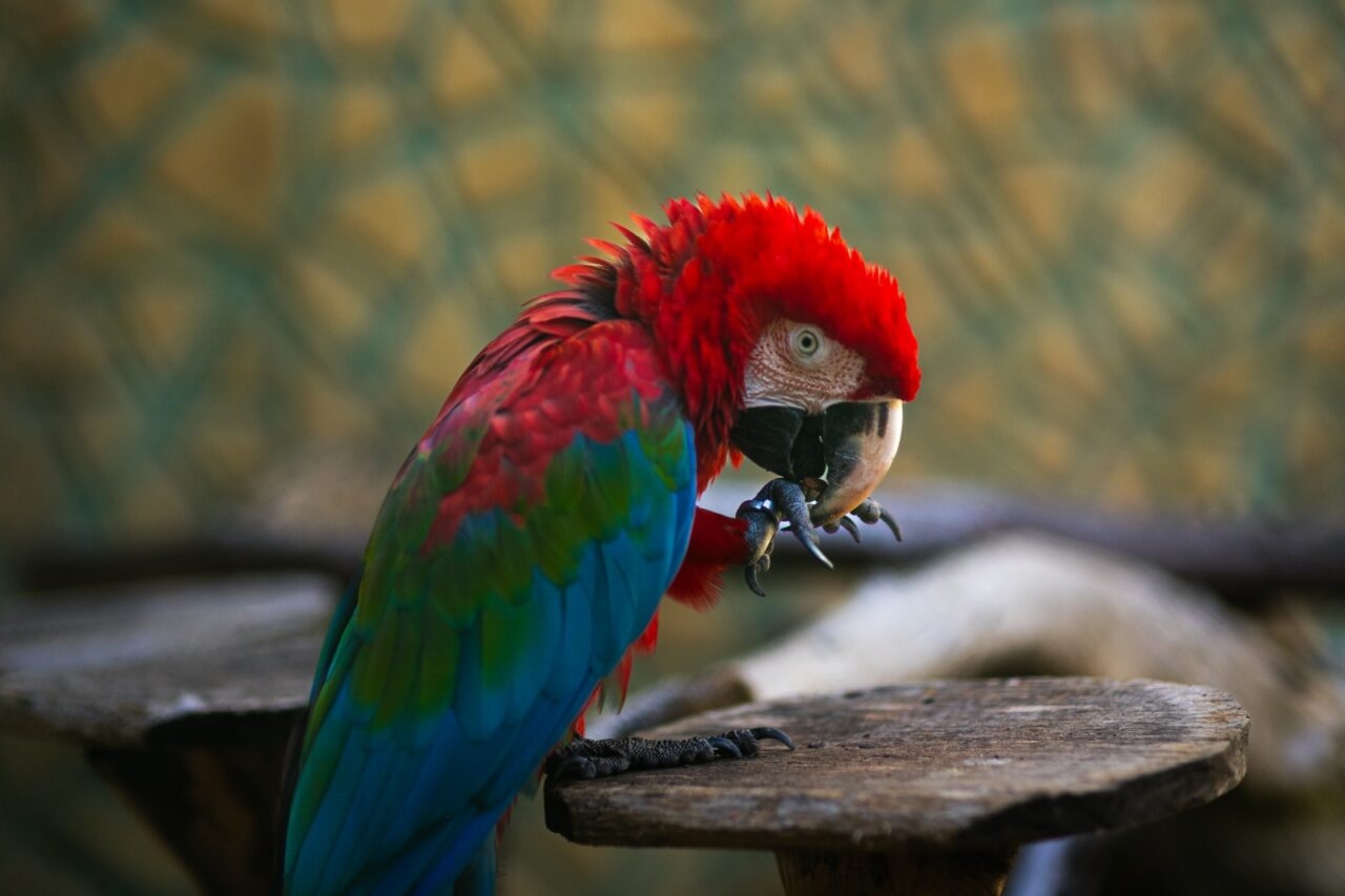 Feriadão: Aquário Paraíba abre normalmente no Dia do Trabalhador