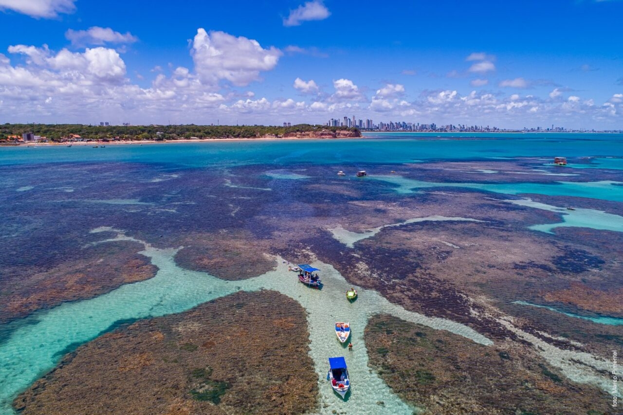 Busca nas férias de julho