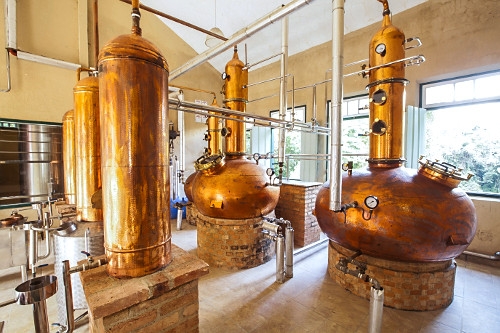 Inovação redefine a produção de cachaça no Brasil